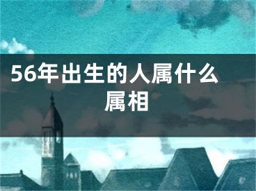 56年出生的人属什么属相