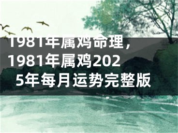 1981年属鸡命理，1981年属鸡2025年每月运势完整版
