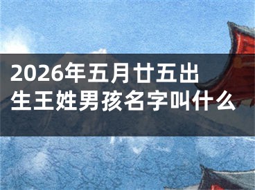 2026年五月廿五出生王姓男孩名字叫什么