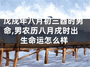 戊戌年八月初三酉时男命,男农历八月戌时出生命运怎么样