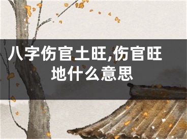 八字伤官土旺,伤官旺地什么意思