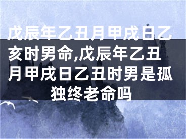 戊辰年乙丑月甲戌日乙亥时男命,戊辰年乙丑月甲戌日乙丑时男是孤独终老命吗