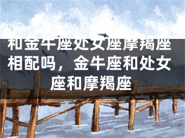 和金牛座处女座摩羯座相配吗，金牛座和处女座和摩羯座
