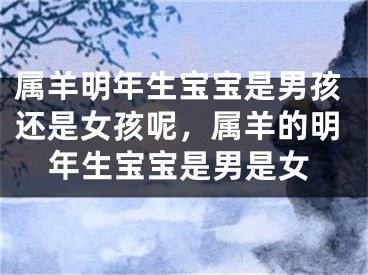 属羊明年生宝宝是男孩还是女孩呢，属羊的明年生宝宝是男是女