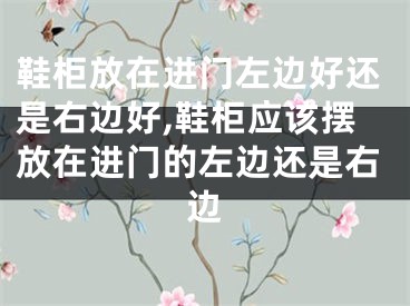 鞋柜放在进门左边好还是右边好,鞋柜应该摆放在进门的左边还是右边