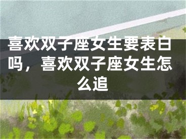 喜欢双子座女生要表白吗，喜欢双子座女生怎么追
