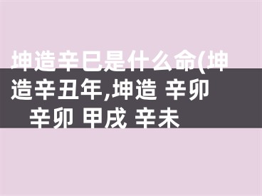 坤造辛巳是什么命(坤造辛丑年,坤造 辛卯 辛卯 甲戌 辛未