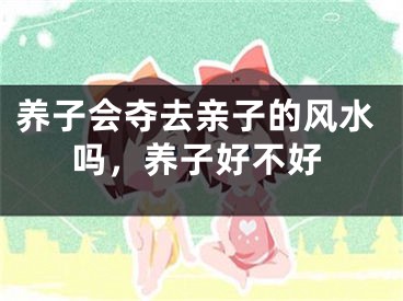 养子会夺去亲子的风水吗,养子好不好