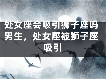 处女座会吸引狮子座吗男生,处女座被狮子座吸引