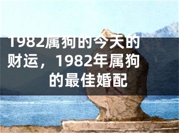 1982属狗的今天的财运，1982年属狗的最佳婚配