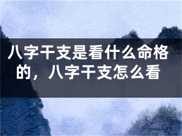八字干支是看什么命格的，八字干支怎么看