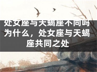 处女座与天蝎座不同吗为什么，处女座与天蝎座共同之处