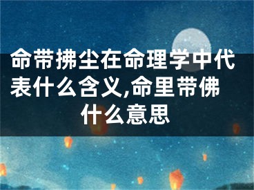 命带拂尘在命理学中代表什么含义,命里带佛什么意思