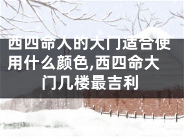 西四命人的大门适合使用什么颜色,西四命大门几楼最吉利