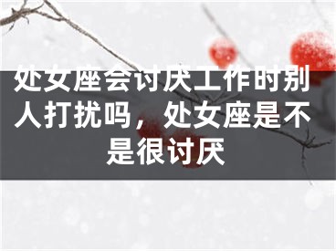 处女座会讨厌工作时别人打扰吗,处女座是不是很讨厌