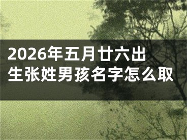 2026年五月廿六出生张姓男孩名字怎么取