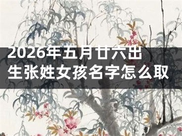 2026年五月廿六出生张姓女孩名字怎么取