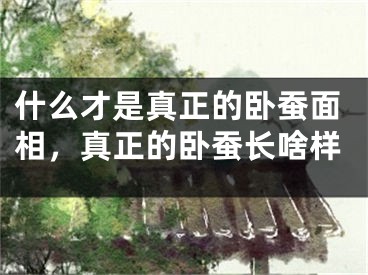 什么才是真正的卧蚕面相,真正的卧蚕长啥样