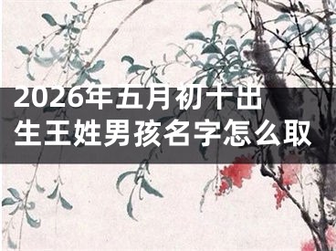 2026年五月初十出生王姓男孩名字怎么取