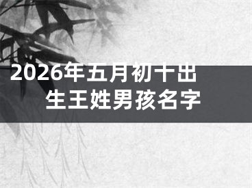 2026年五月初十出生王姓男孩名字