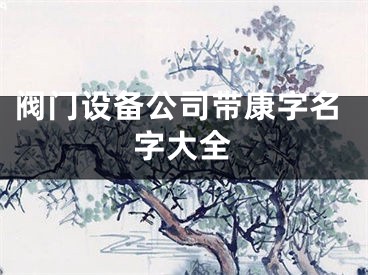 阀门设备公司带康字名字大全