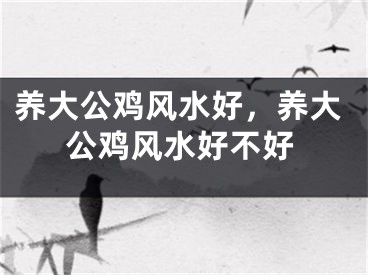 养大公鸡风水好,养大公鸡风水好不好