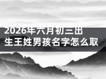 2026年六月初三出生王姓男孩名字怎么取