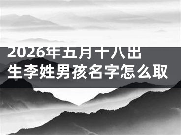 2026年五月十八出生李姓男孩名字怎么取