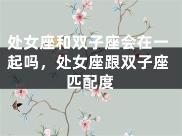 处女座和双子座会在一起吗,处女座跟双子座匹配度