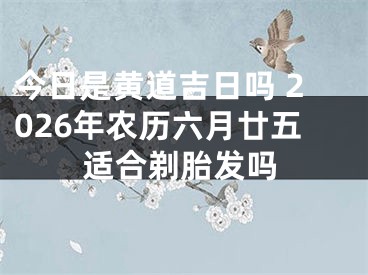今日是黄道吉日吗 2026年农历六月廿五适合剃胎发吗