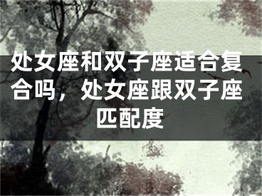 处女座和双子座适合复合吗，处女座跟双子座匹配度