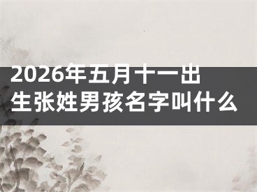 2026年五月十一出生张姓男孩名字叫什么