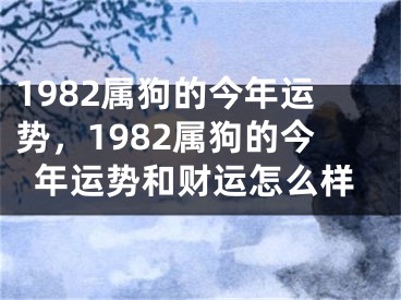 1982属狗的今年运势，1982属狗的今年运势和财运怎么样