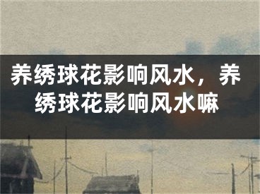 养绣球花影响风水,养绣球花影响风水嘛