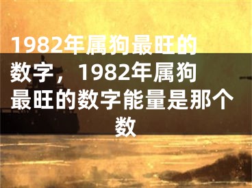 1982年属狗最旺的数字,1982年属狗最旺的数字能量是那个数