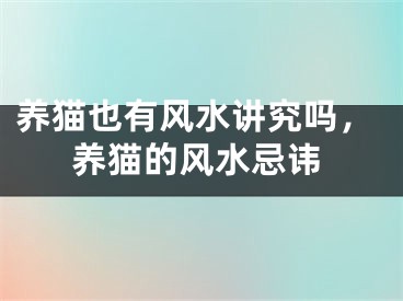 养猫也有风水讲究吗，养猫的风水忌讳