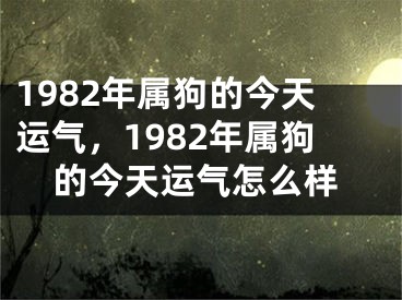 1982年属狗的今天运气，1982年属狗的今天运气怎么样
