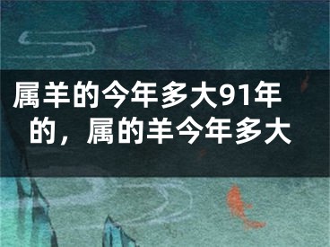 属羊的今年多大91年的,属的羊今年多大
