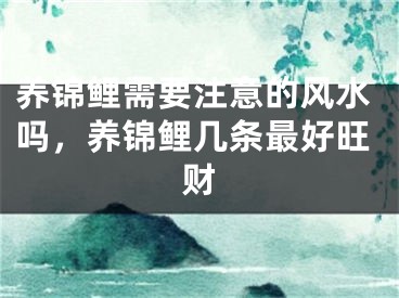养锦鲤需要注意的风水吗，养锦鲤几条最好旺财