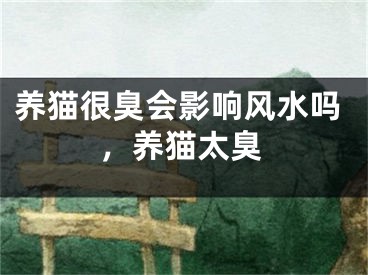 养猫很臭会影响风水吗，养猫太臭