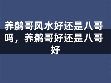 养鹩哥风水好还是八哥吗,养鹩哥好还是八哥好