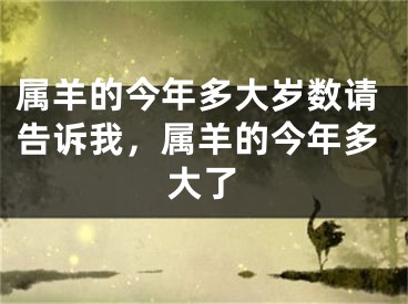 属羊的今年多大岁数请告诉我，属羊的今年多大了