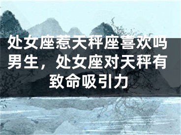 处女座惹天秤座喜欢吗男生，处女座对天秤有致命吸引力
