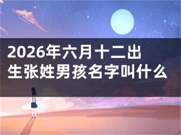 2026年六月十二出生张姓男孩名字叫什么