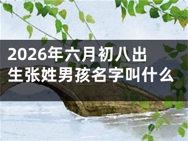 2026年六月初八出生张姓男孩名字叫什么