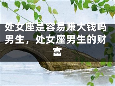 处女座是容易赚大钱吗男生，处女座男生的财富