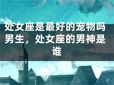 处女座是最好的宠物吗男生，处女座的男神是谁