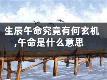 生辰午命究竟有何玄机,午命是什么意思