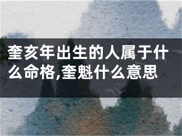 奎亥年出生的人属于什么命格,奎魁什么意思
