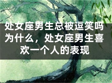处女座男生总被逗笑吗为什么，处女座男生喜欢一个人的表现